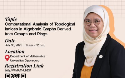 [VISITING PROFESSOR] Computational Analysis of Topological Indices in Algebraic Graphs Derived from Groups and Rings